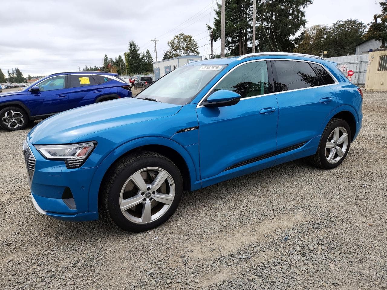 Audi e-tron 2019 z USA