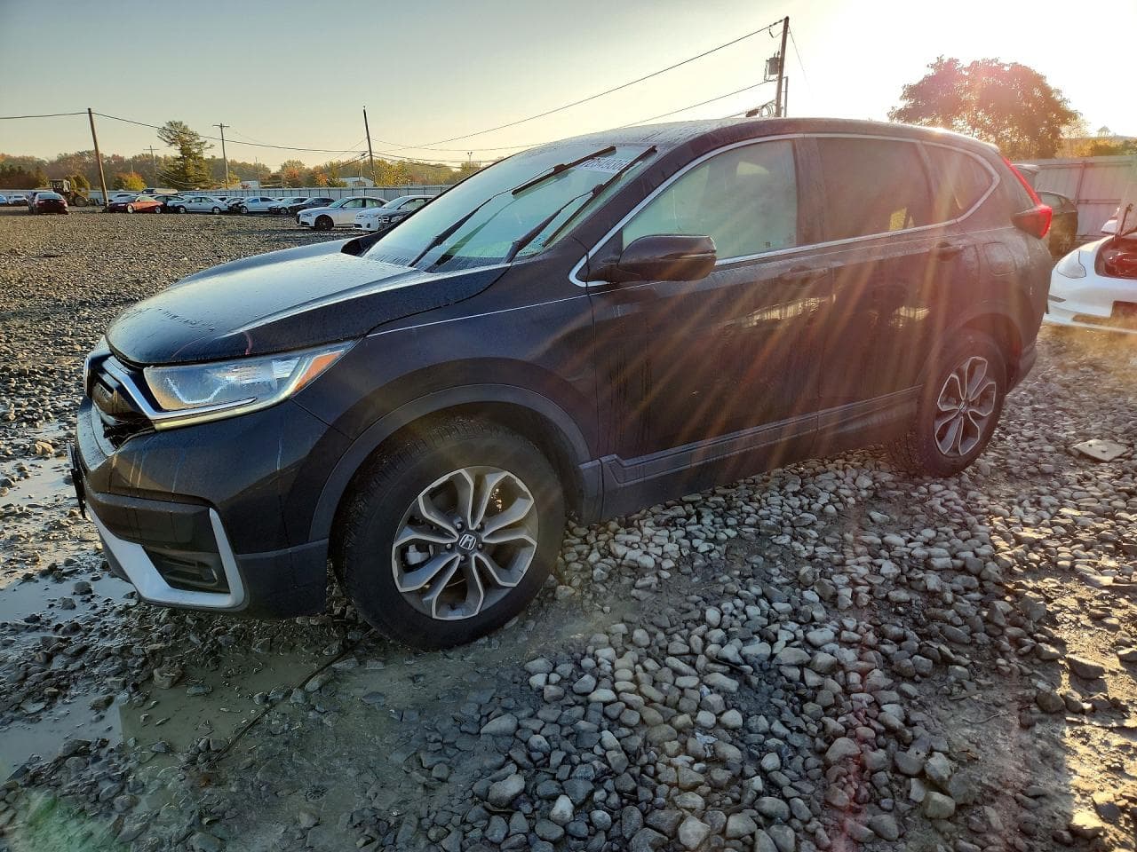 Honda CR-V 2022 z USA