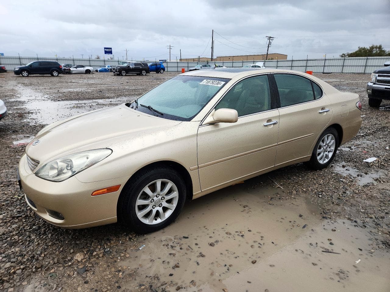 Lexus ES 2003 z USA