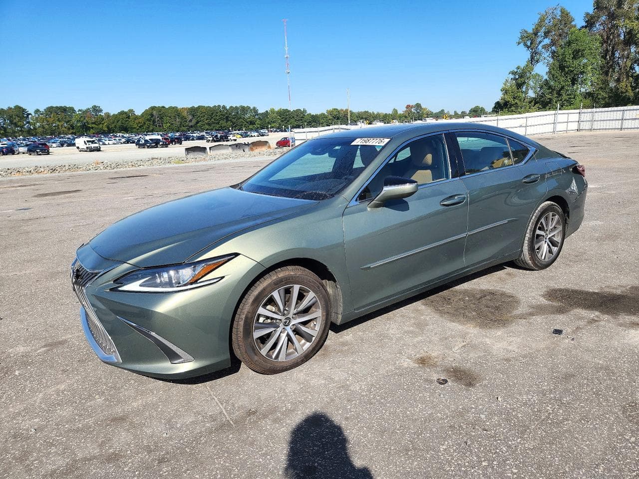Lexus ES 2019 z USA