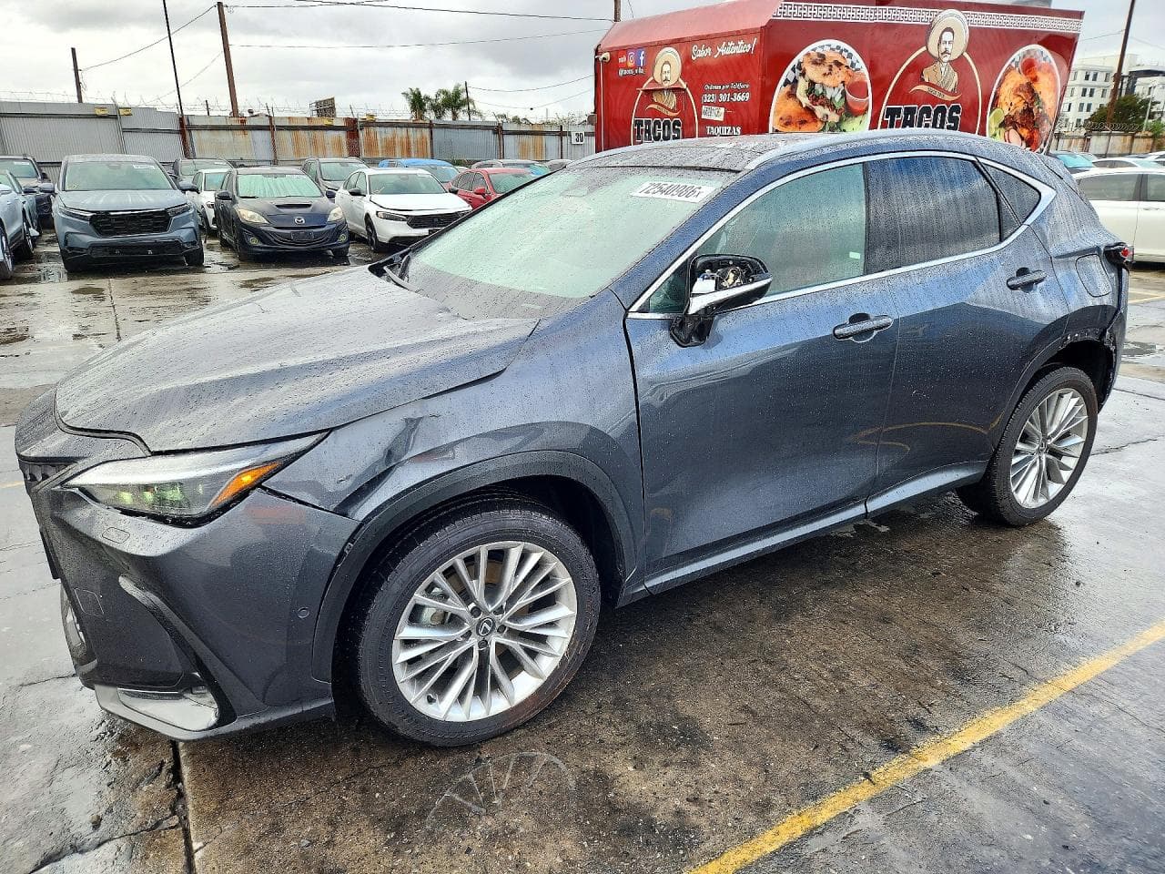 Lexus NX 2025 z USA