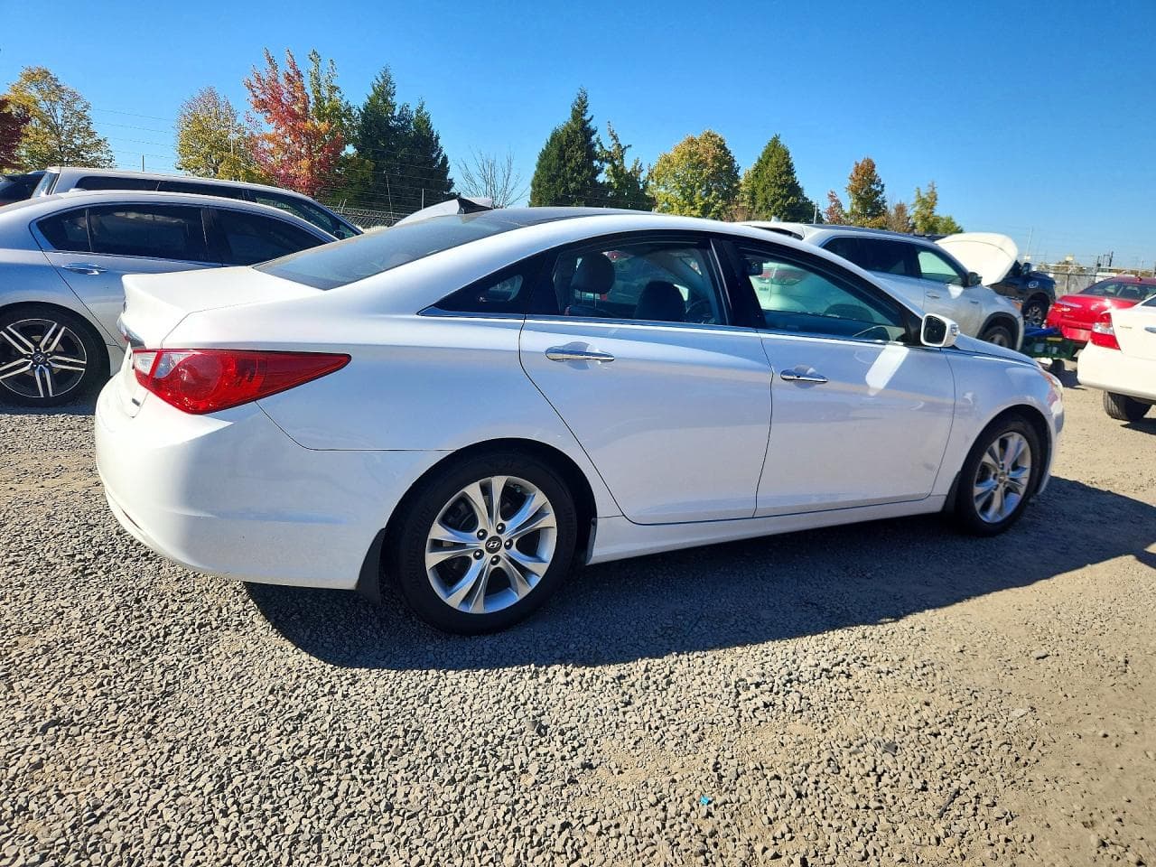 2013 Hyundai Sonata Limited - foto 3