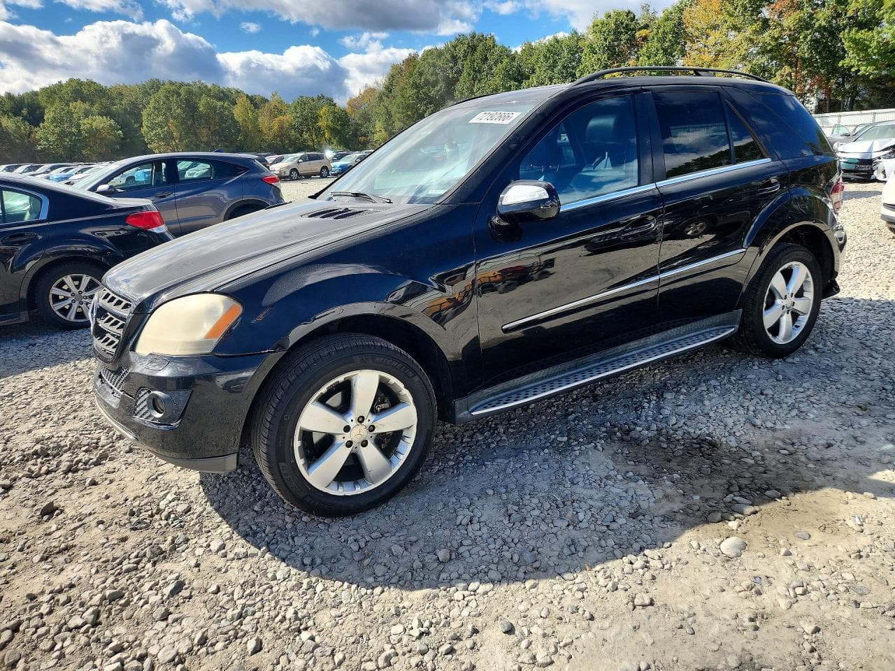 Mercedes-Benz M-klasse 2010 z USA