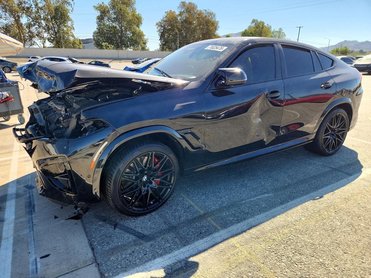 2024 BMW X6 z USA