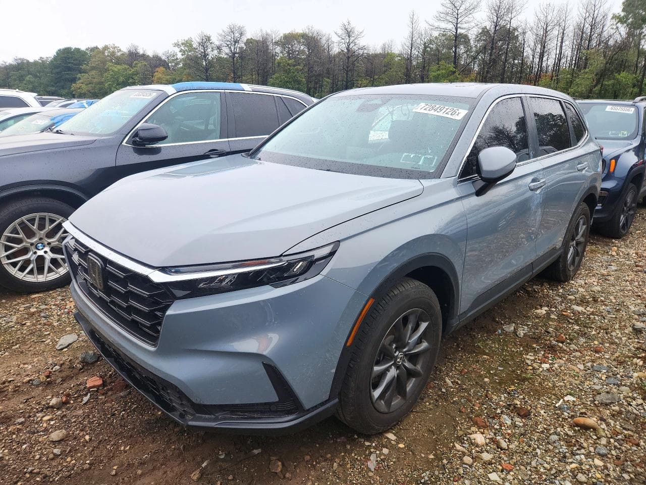 Honda CR-V 2026 z USA