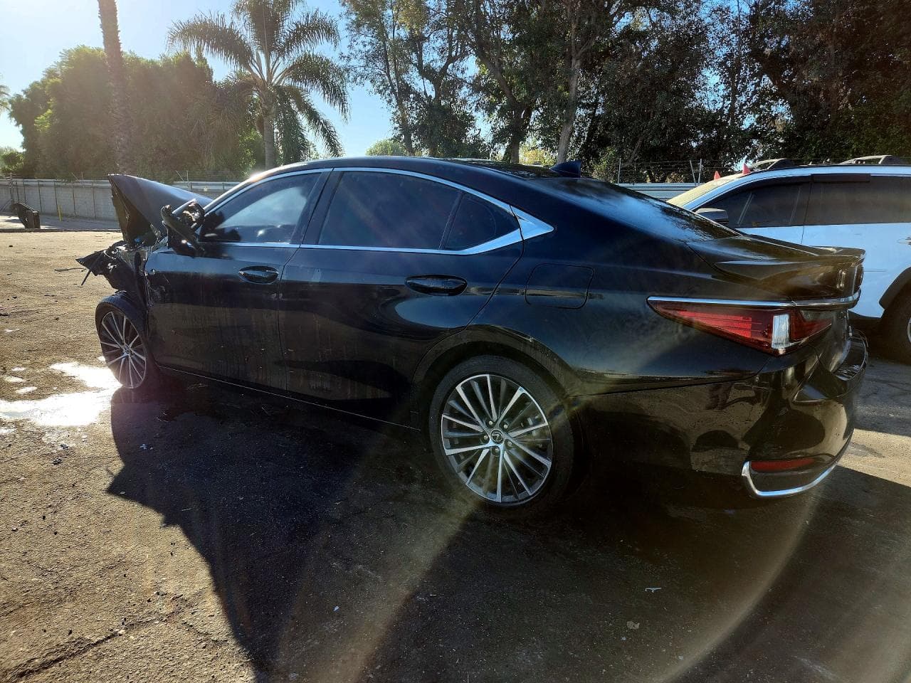 2023 Lexus Es 300H Base - foto 2