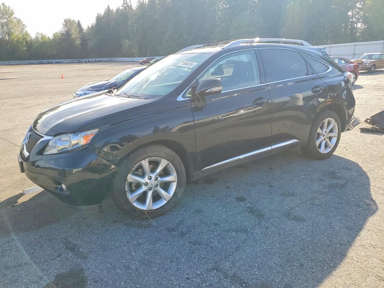 Lexus RX 2011 z USA