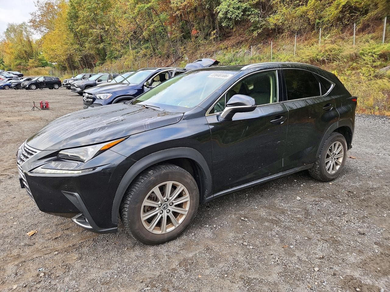 Lexus NX 2021 z USA