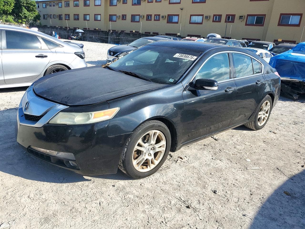 Acura TL 2010 z USA