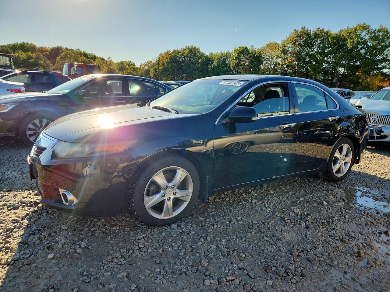 Acura TSX 2011 z USA