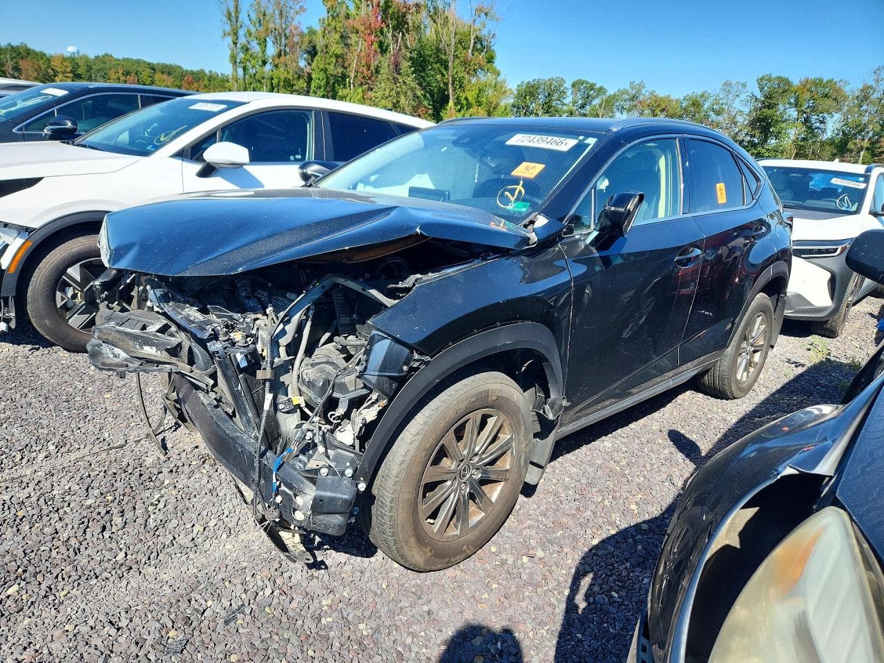 Lexus NX 2020 z USA