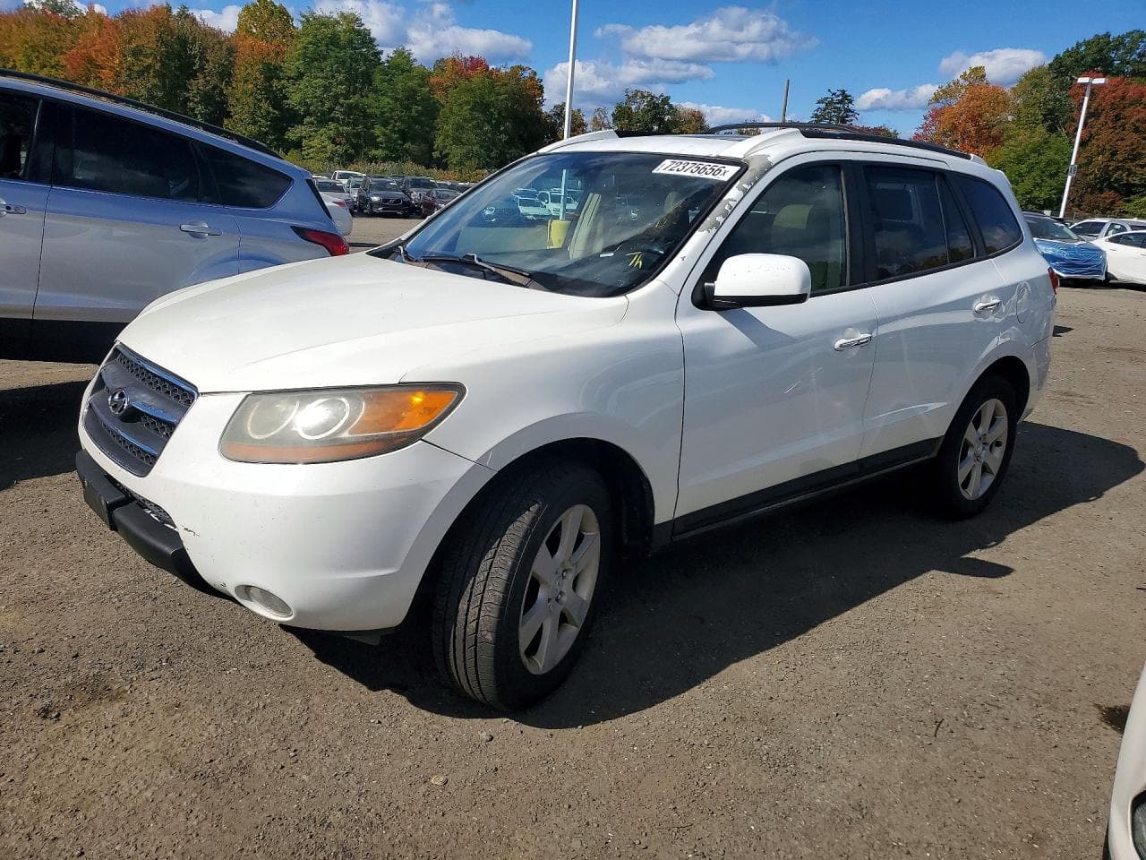 Hyundai Santa Fe 2007 z USA