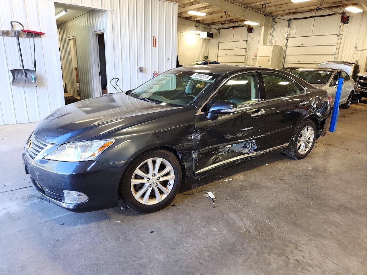 Lexus ES 2010 z USA
