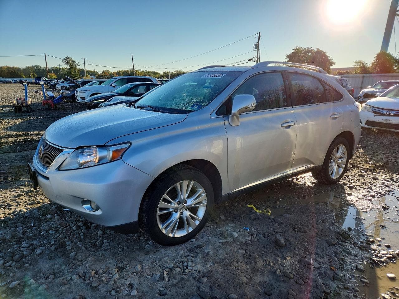 Lexus RX 2010 z USA
