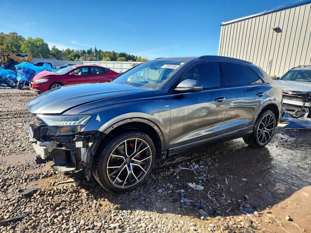 2019 Audi Q8 z USA