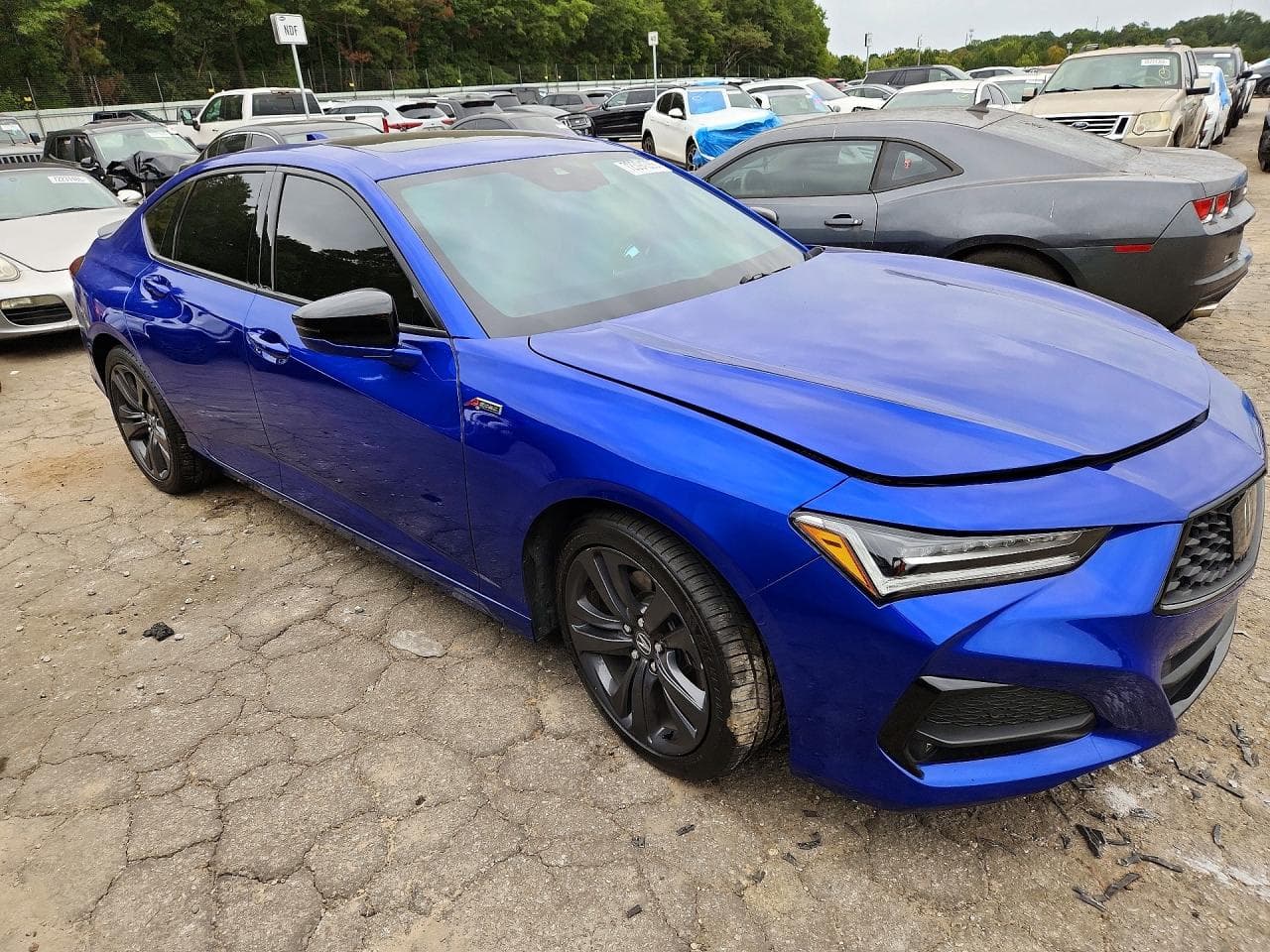 2022 Acura Tlx Tech A - foto 4