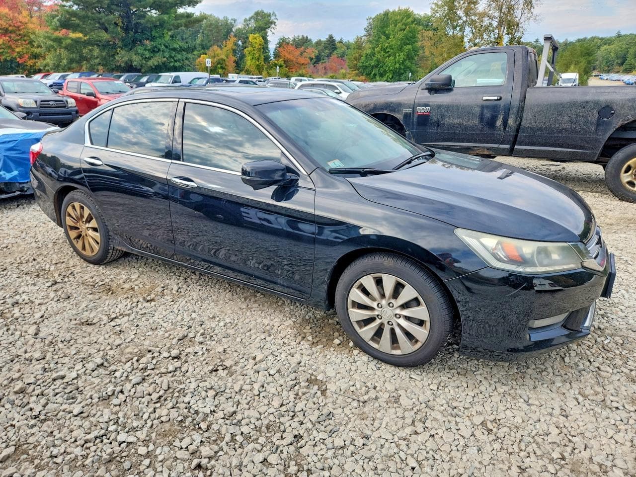 2014 Honda Accord Exl - foto 4
