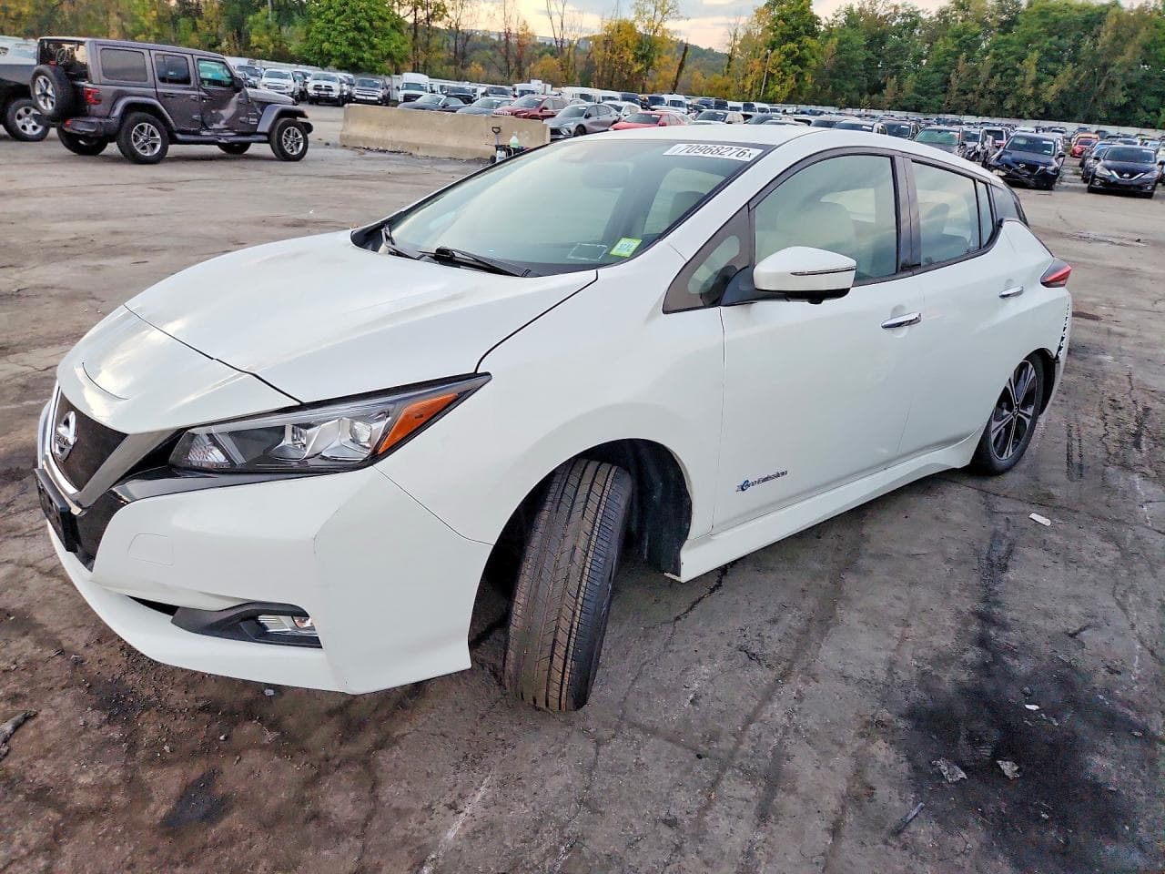Nissan Leaf 2019 z USA