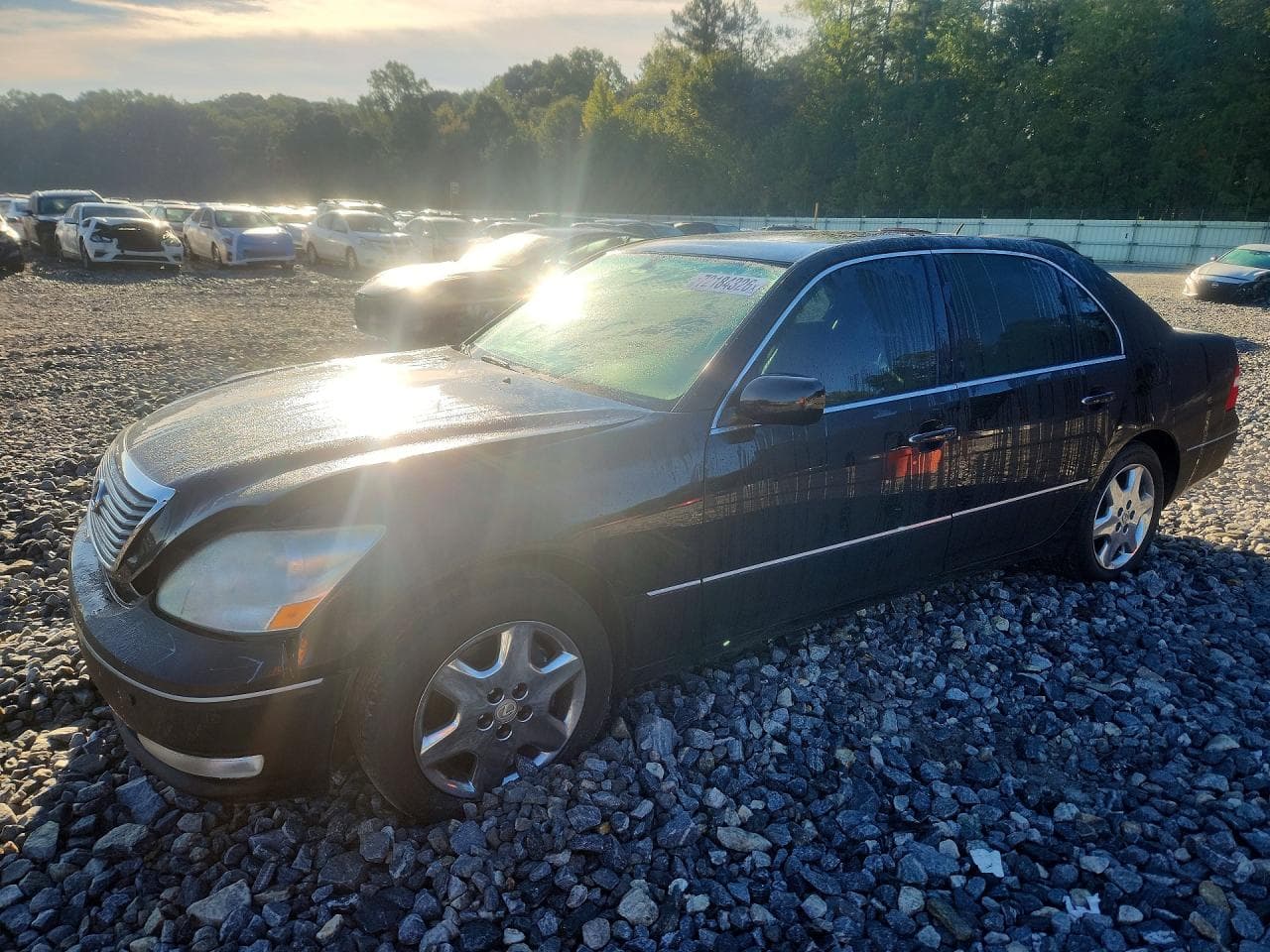 Lexus LS 2004 z USA
