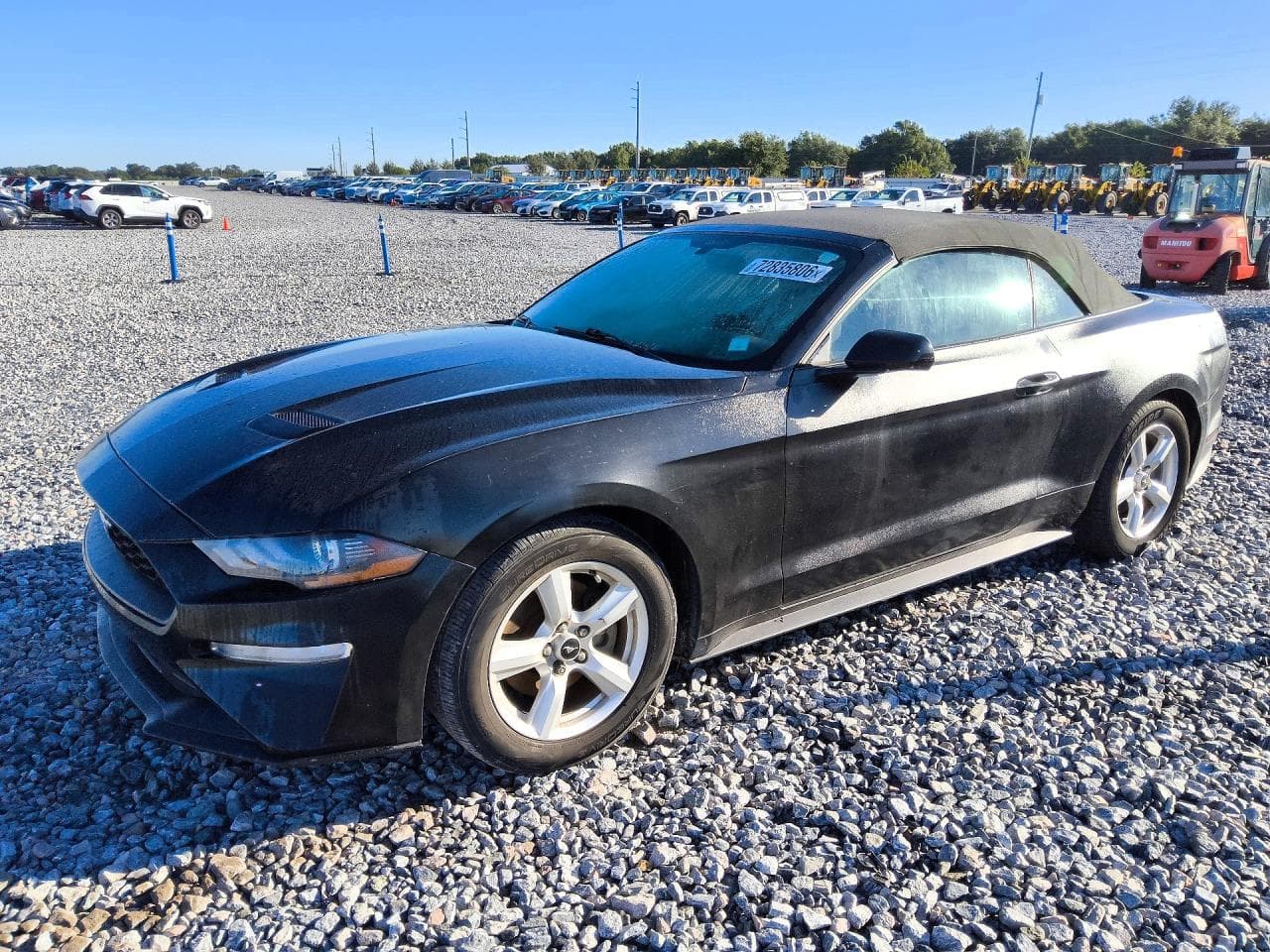 Ford Mustang 2019 z USA