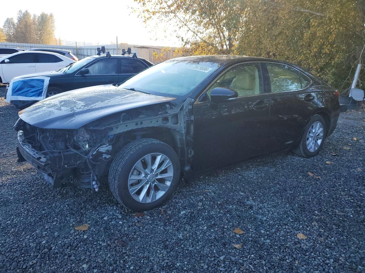 Lexus ES 2015 z USA