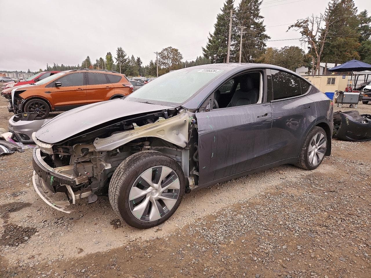 Tesla Model Y 2023 z USA