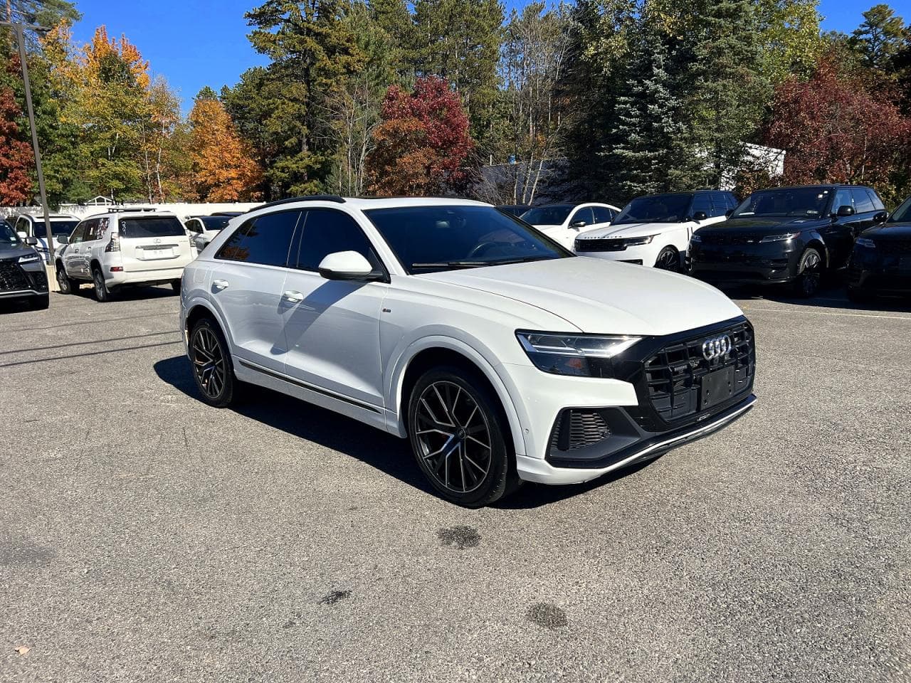 Audi Q8 2019 z USA