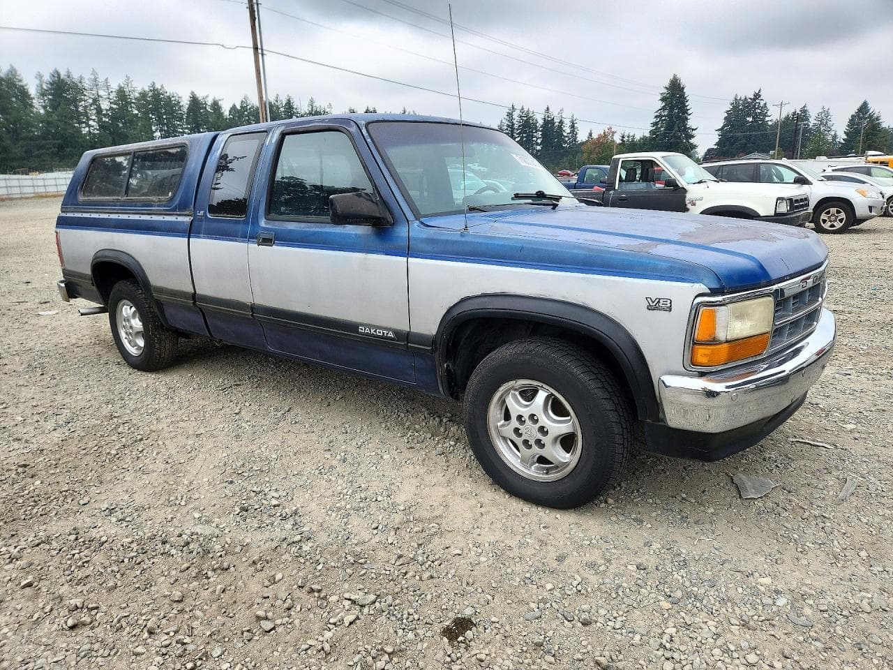 1991 Dodge Dakota - foto 4