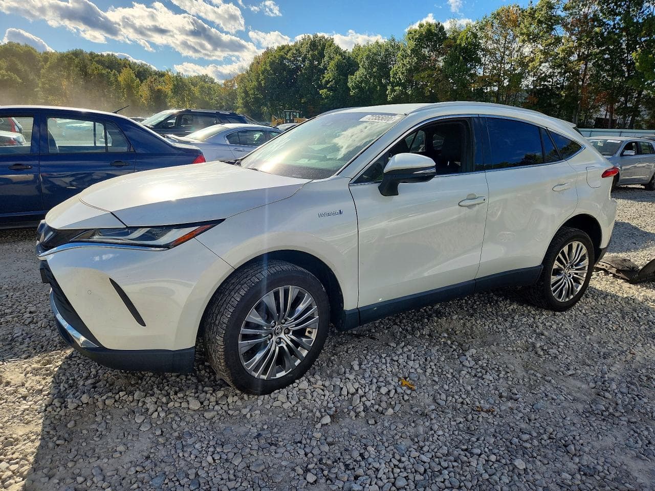 2021 Toyota Venza z USA