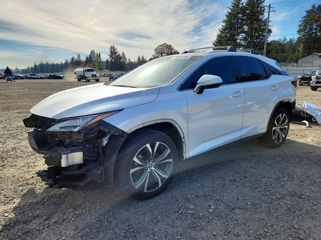Lexus RX 2019 z USA