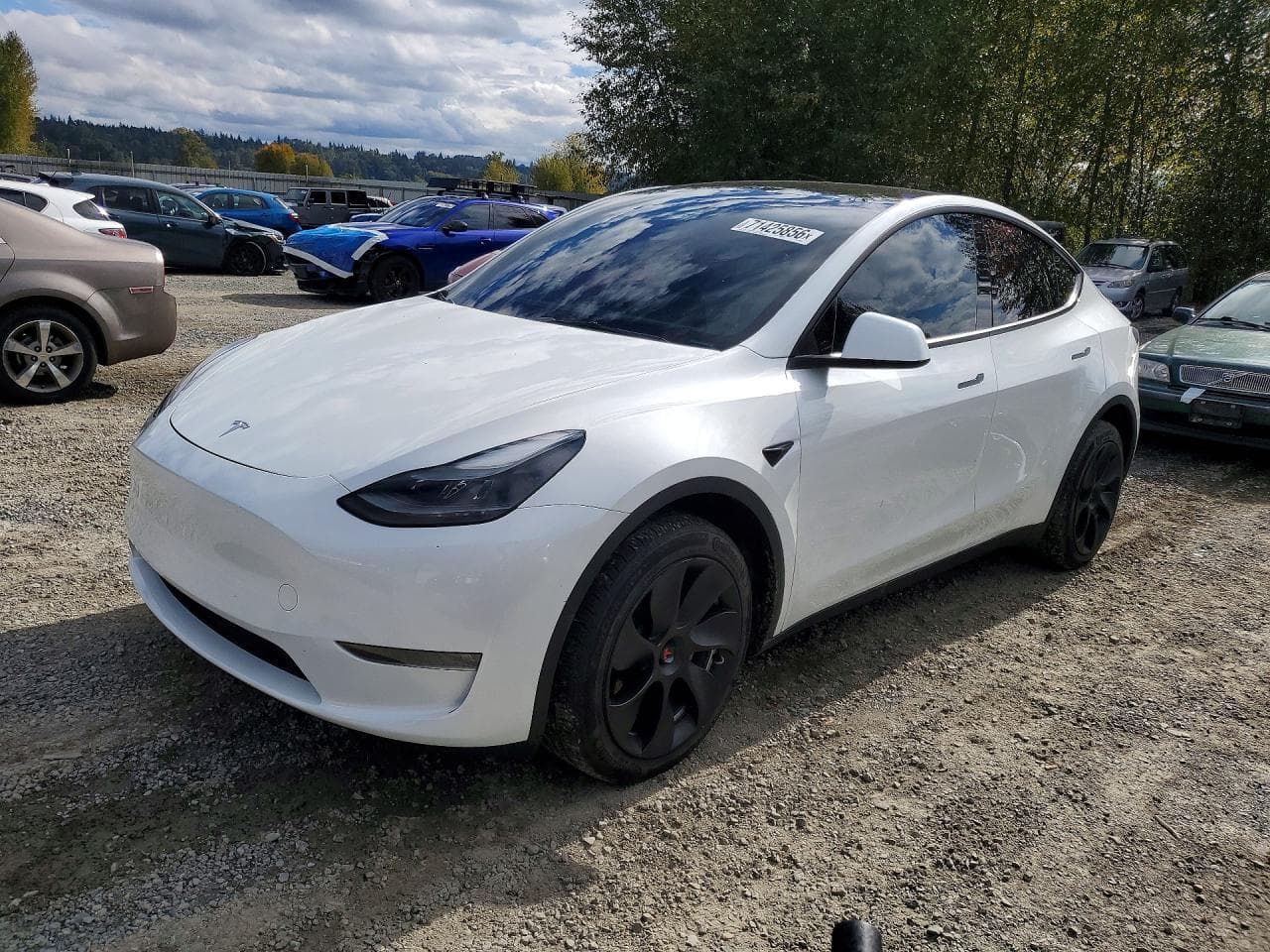 Tesla Model Y 2023 z USA