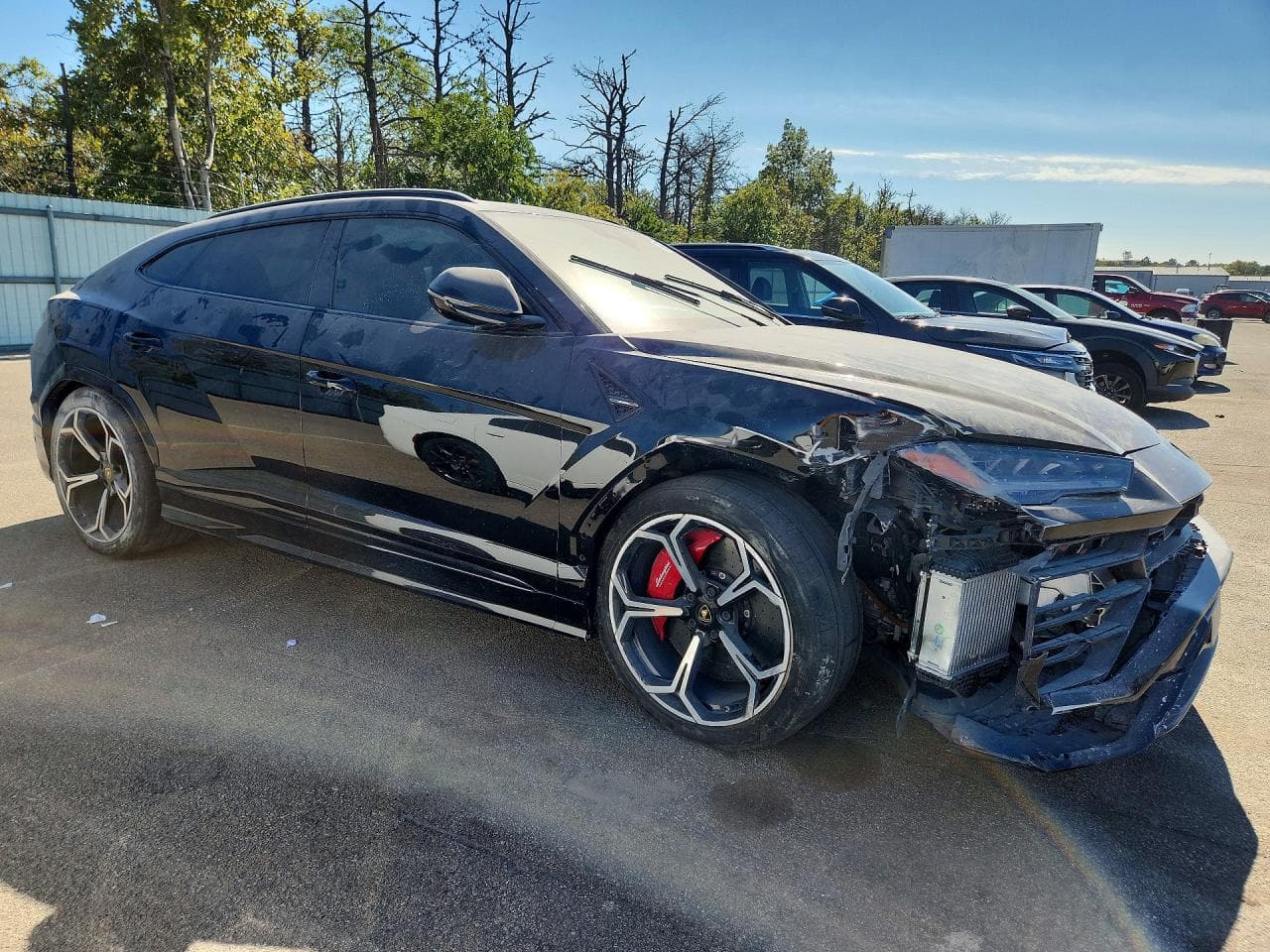 2019 Lamborghini Urus - foto 4
