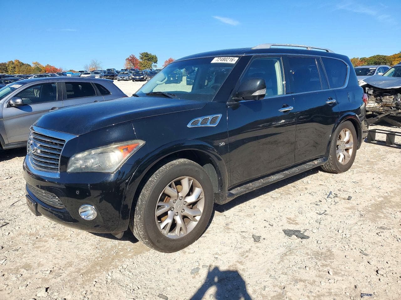 Infiniti QX80 2014 z USA