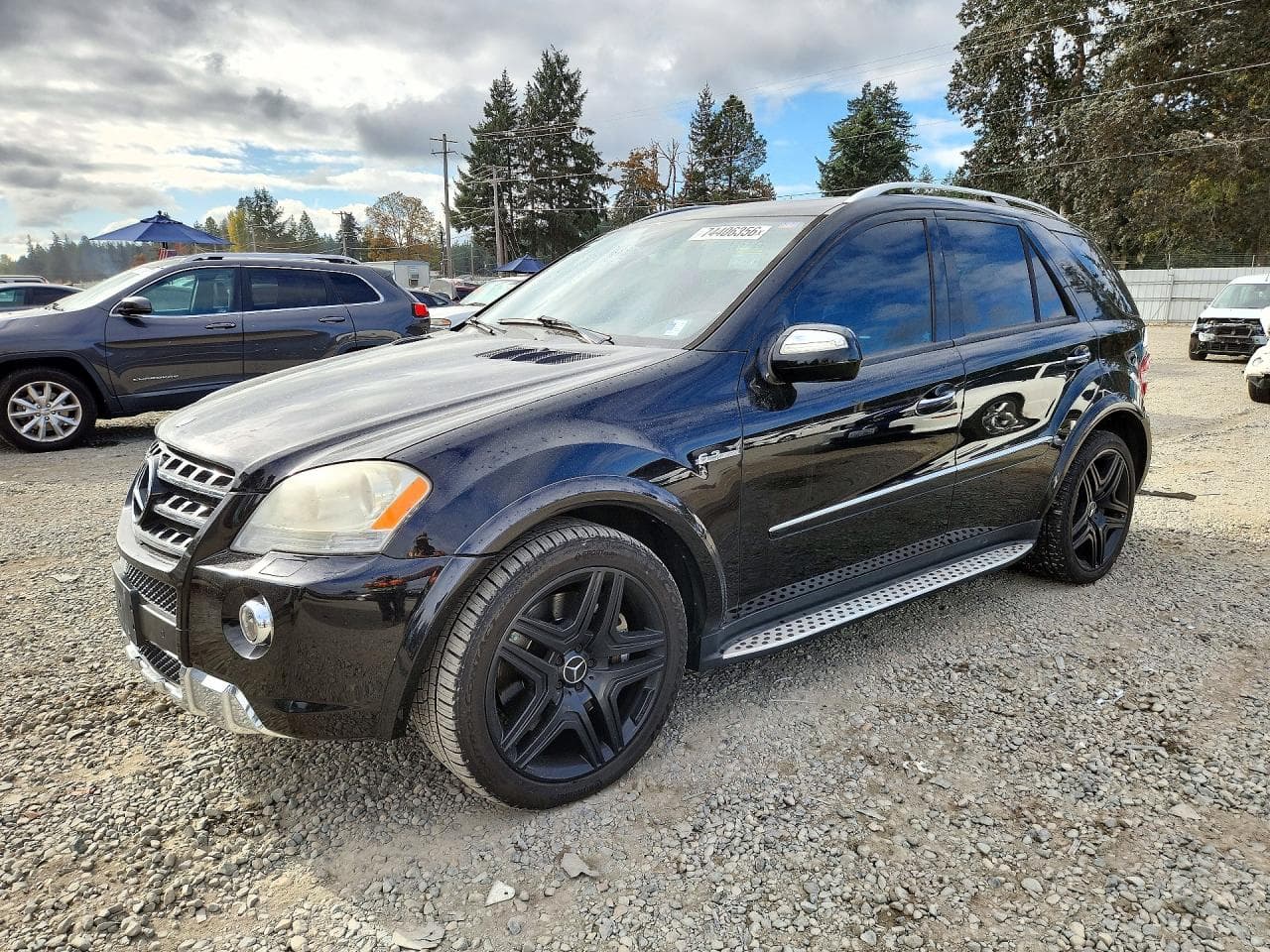 Mercedes-Benz M-klasse 2009 z USA