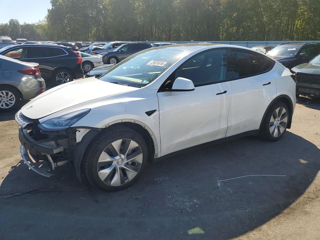 Tesla Model Y 2021 z USA