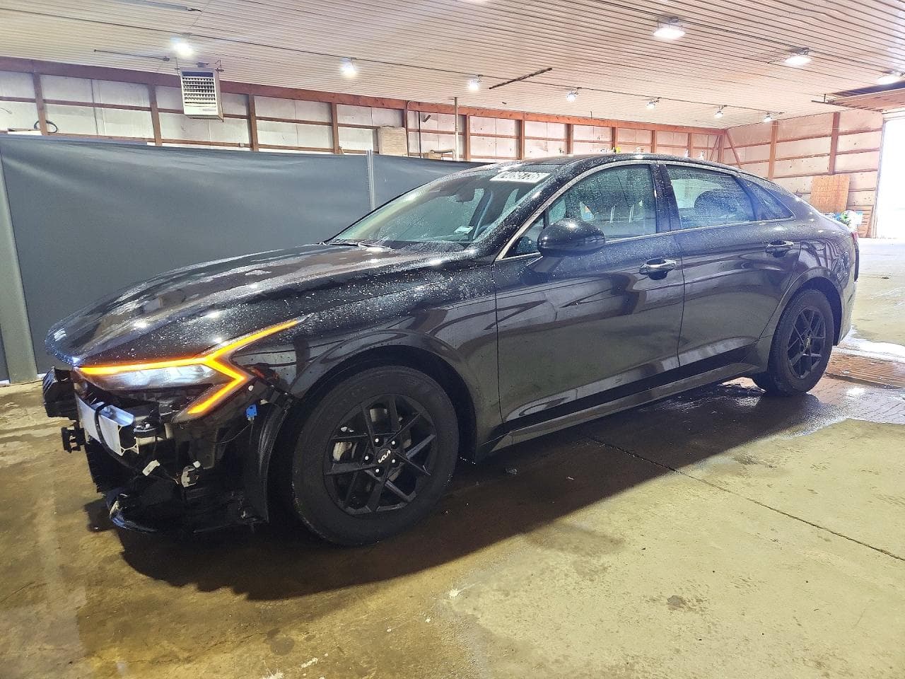 Kia K5 2026 z USA