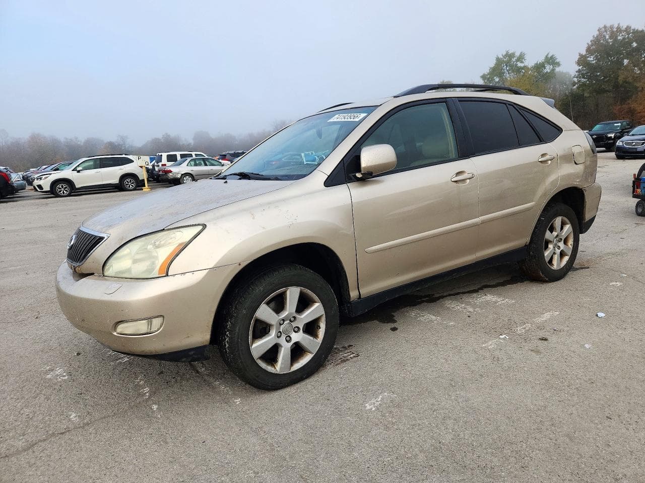 Lexus RX 2004 z USA