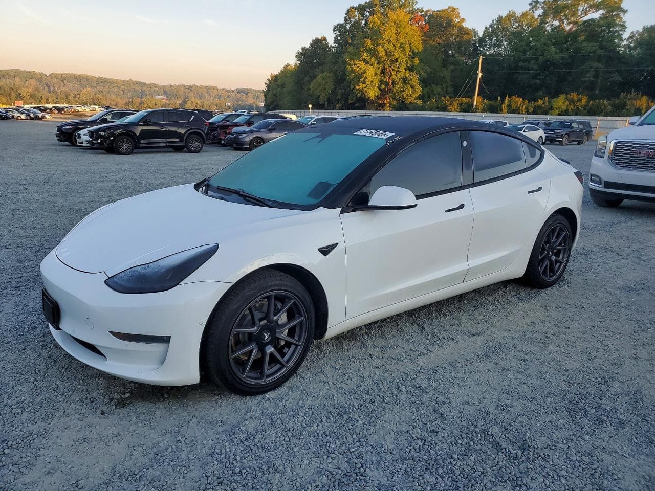 Tesla Model 3 2021 z USA