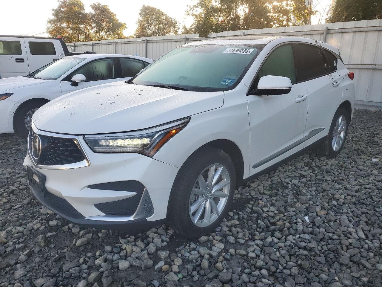 Acura RDX 2020 z USA