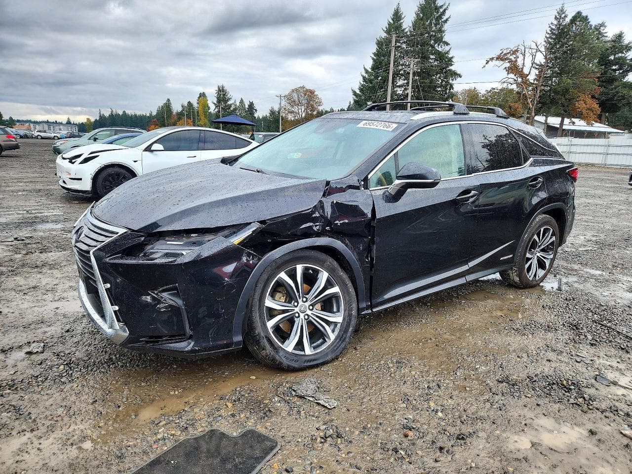 Lexus RX 2018 z USA
