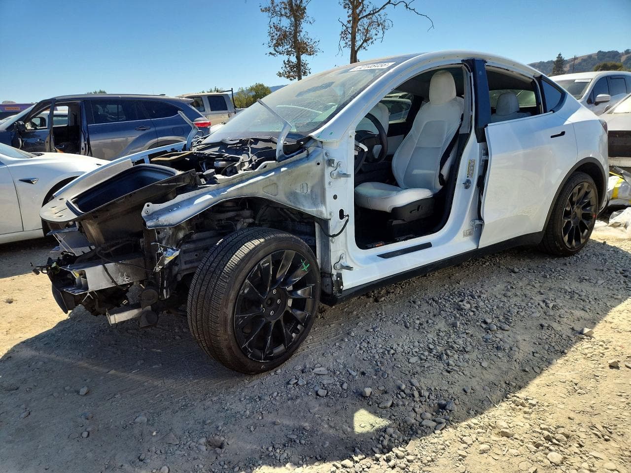 Tesla Model Y 2020 z USA