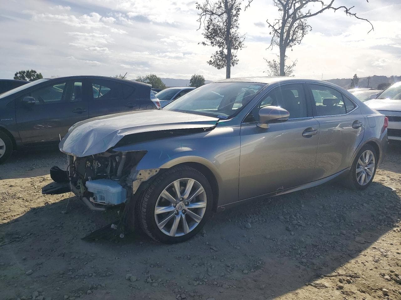 Lexus IS 2014 z USA