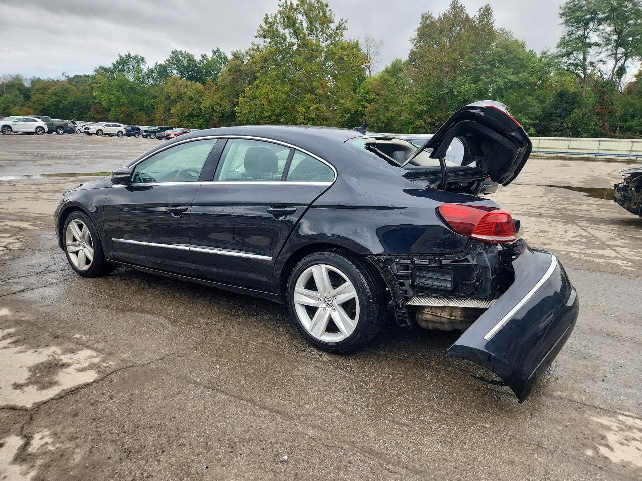 2014 Volkswagen Cc Sport - foto 2