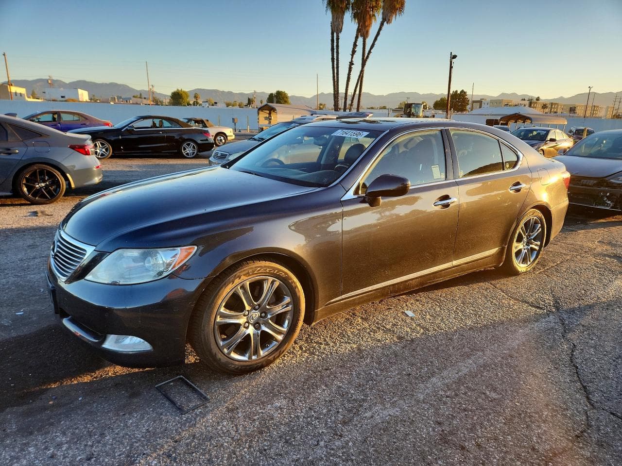 Lexus LS 2007 z USA