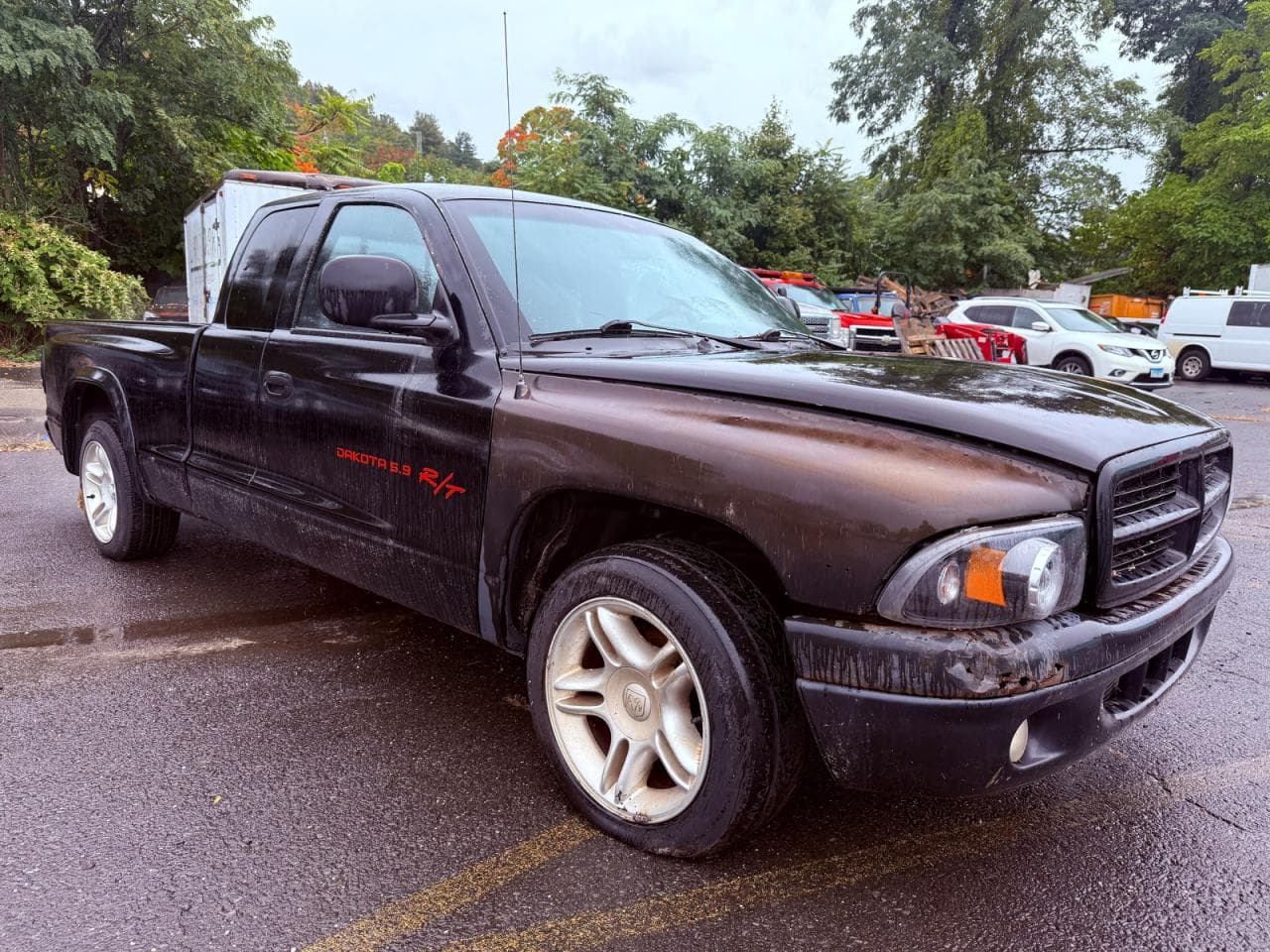 Dodge Dakota 1999 z USA