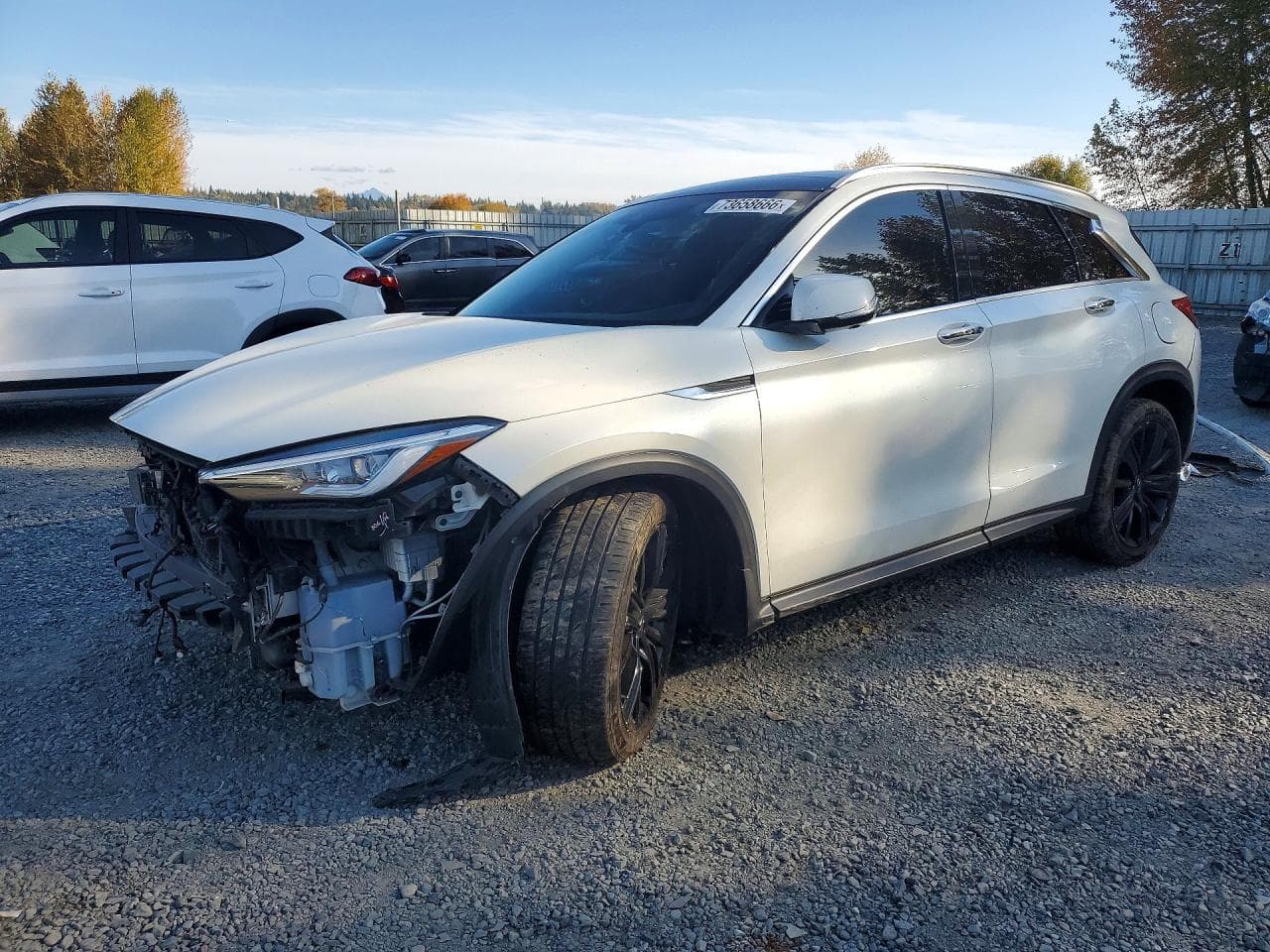 Infiniti QX50 2020 z USA