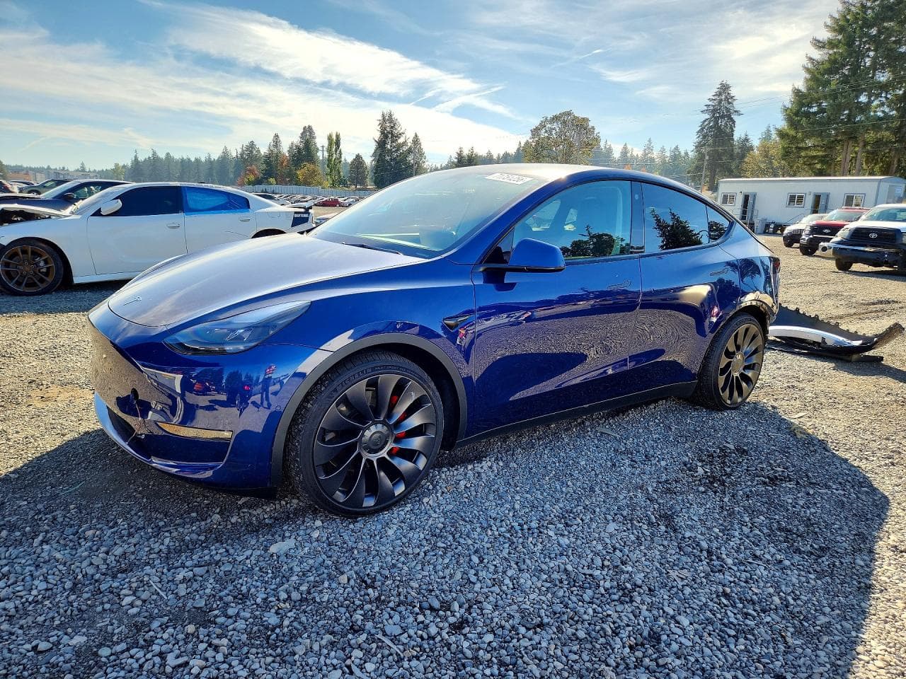 Tesla Model Y 2022 z USA