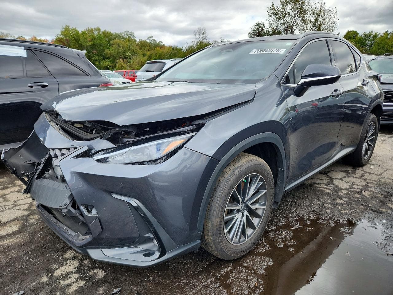 Lexus NX 2023 z USA