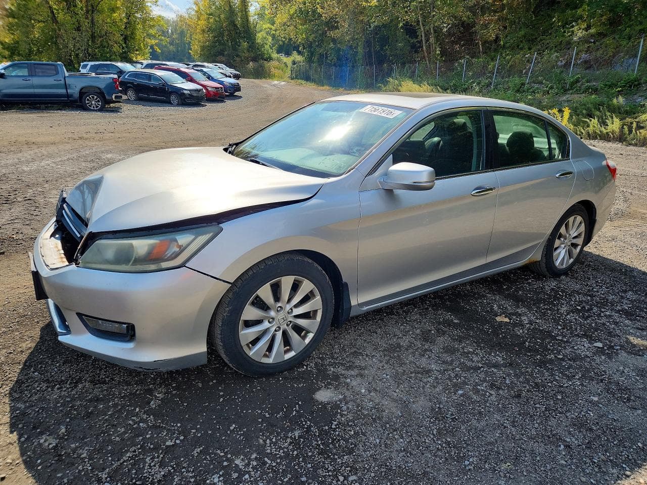 Honda Accord 2014 z USA