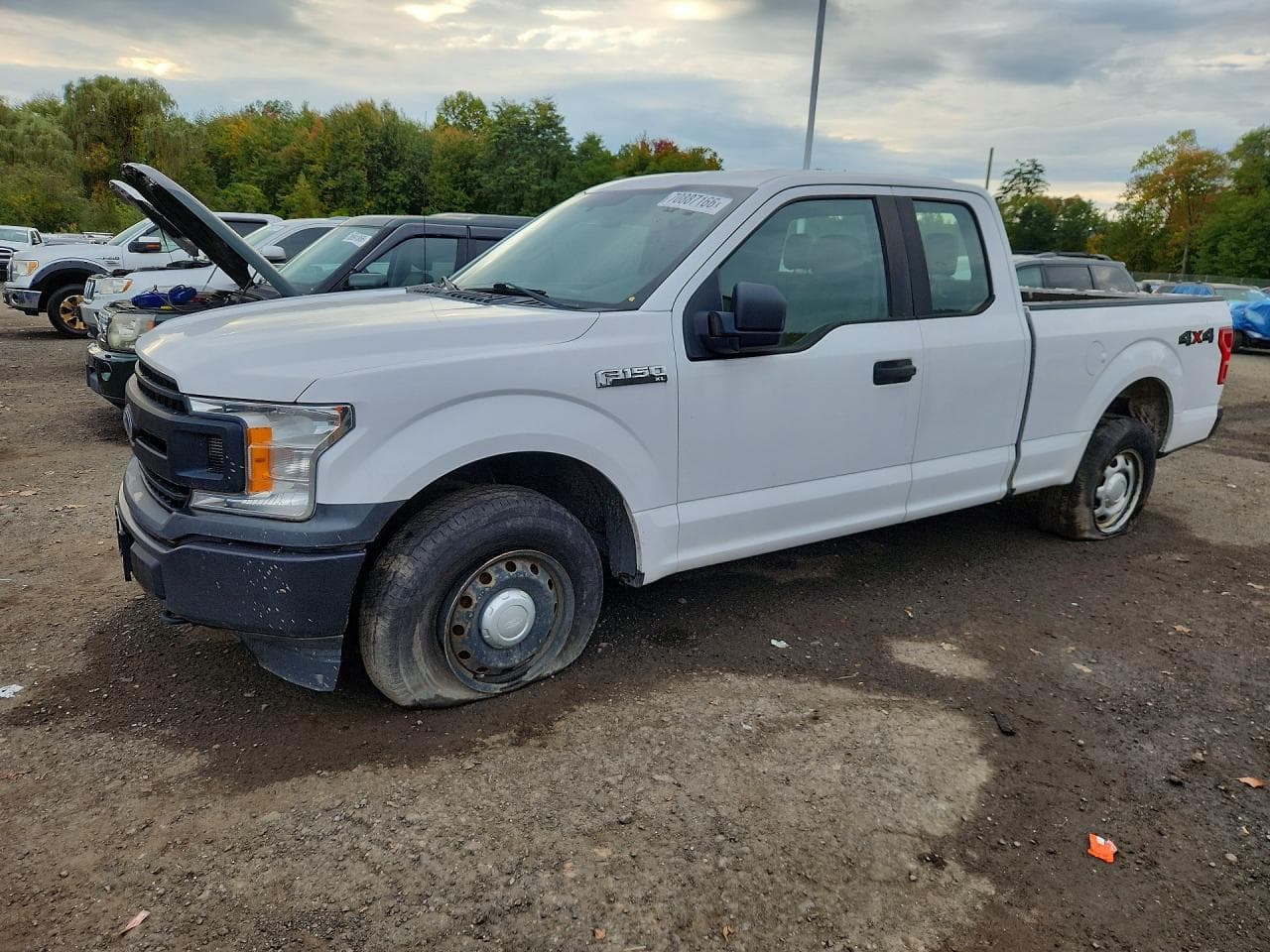 Ford F-150 2018 z USA